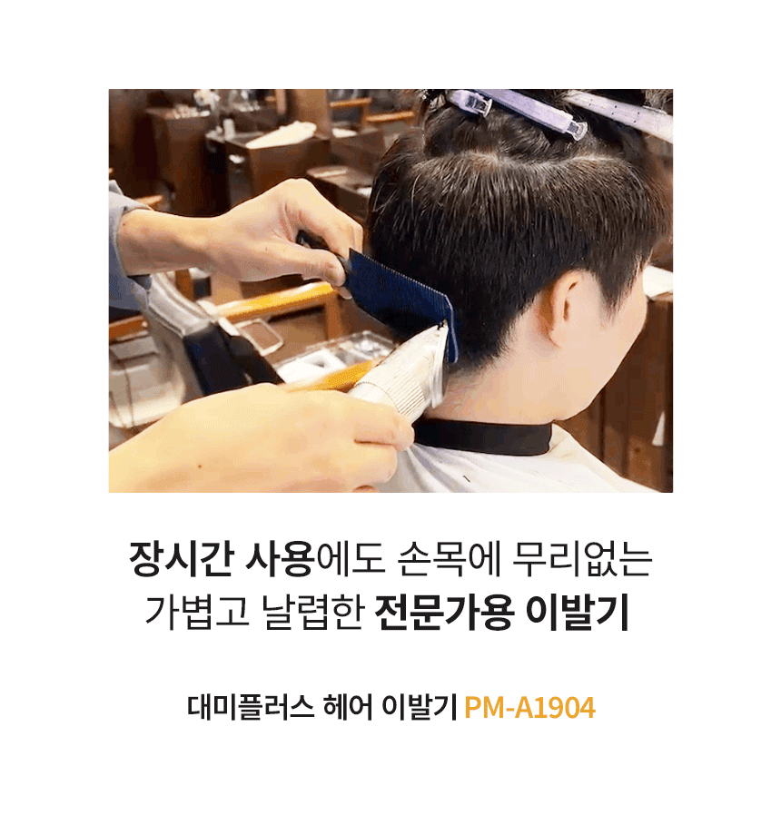 대미플러스바리깡
