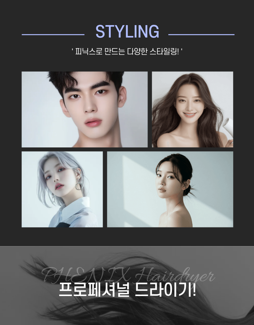 피닉스드라이기 피닉스드라이기