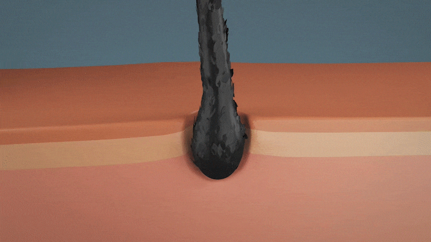 a87ff679a2f3e71d9181a67b7542122c_122803.gif a87ff679a2f3e71d9181a67b7542122c_122803.gif