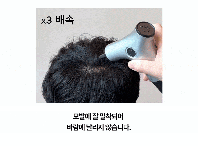 전동흑채 전동흑채