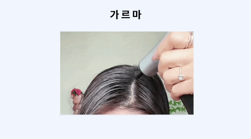 전동흑채 전동흑채