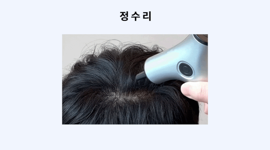 전동흑채 전동흑채