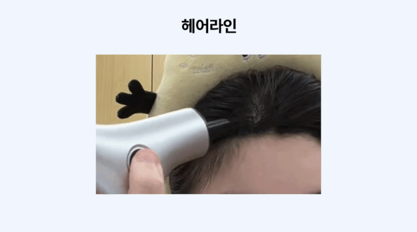 전동흑채 전동흑채